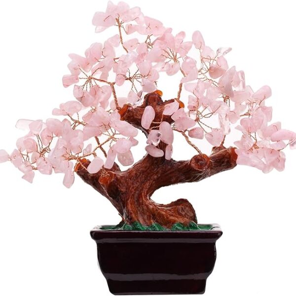Rose pink money tree